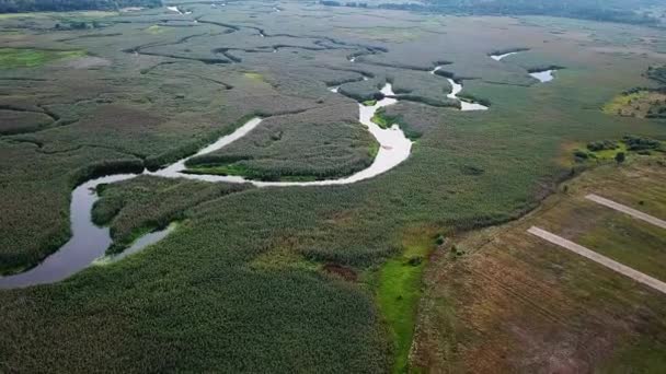 湿地のトップビュー 水路とラグーンの高い空中ビュー 沼地を通る空中後方ドリフト — ストック動画