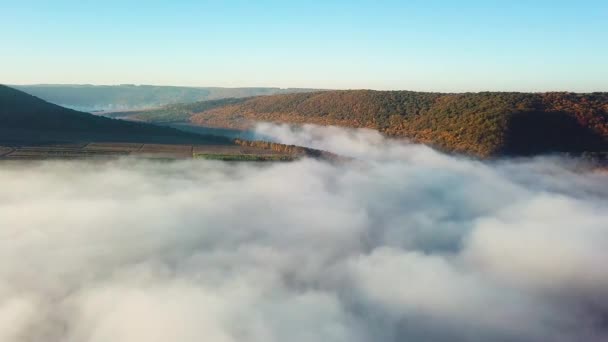 Lot Przez Chmurę Nad Rzeką Widok Lotu Ptaka Mgła Nad — Wideo stockowe