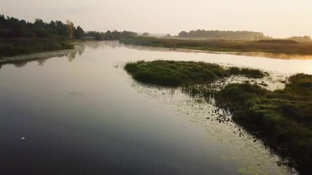 Vista Aérea Garza Blanca Lago Vuelo Garza Blanca Sobre Río — Vídeo de stock