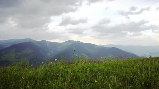 Campo Hierba Fondo Las Montañas Montañas Verano Puesta Del Sol — Vídeo de stock