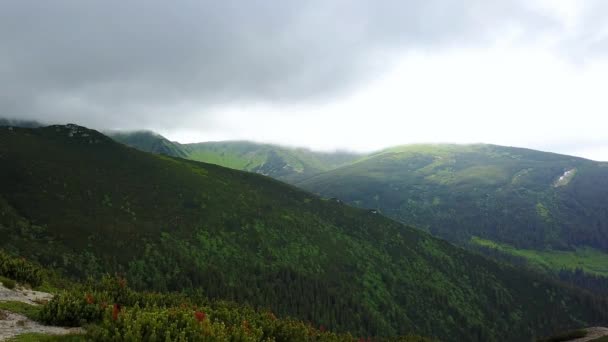 山顶上的风 山顶上的山水 夏天的山水 日落时的山水 高山上的森林 — 图库视频影像