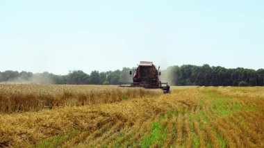 chamfered buğday alanında hasat birleştirmek, modern alanda hasat buğday birleştirmek, hasat birleştirin buğday mahsulü toplar, Olgunlaşmış buğday birleştirmek hasat tarafından toplanan