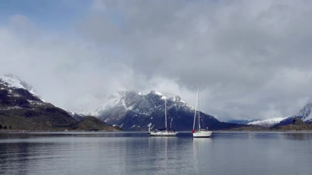 Norveç Fiyordunda Yatlar Lofoten Adalarında Yatlar Dağların Arka Planında Yatlar — Stok video