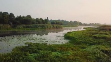 Gölde, uçuş Nehri, beyaz eroin olacak beyaz eroin olacak havadan görünümü gri balıkçıl sabah güneşin altında ısıtır.