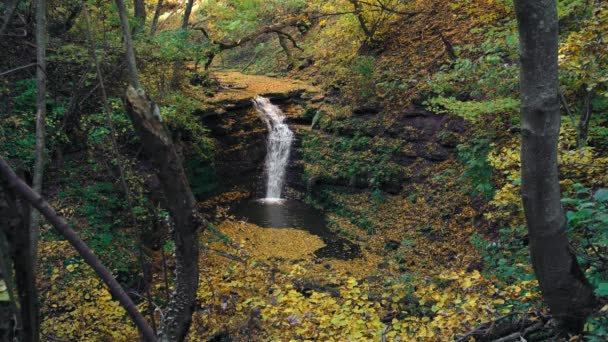 Vista Aérea Cascada Otoño Vista Aérea Cascada Follaje Otoño Cascada — Vídeos de Stock