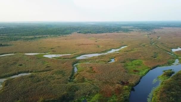 湿地のトップビュー 水路とラグーンの高い空中ビュー 沼地を通る空中後方ドリフト — ストック動画