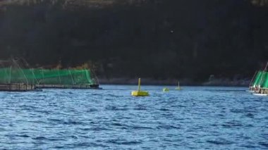 Norveç'te somon çiftliği ve yat, Norveç'te somon çiftliği balıkçılığı, Norveç Denizi'ndeki somon çiftliği ağı