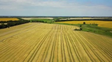 hasat tan sonra buğday tarlasının havadan görünümü, Chamfered buğday tarlasında birleştirme hasat makinesinin üst görünümü, chamfered buğday tarlasının havadan görünümü, Avrupa buğday tarlaları, Doğrudan yukarıda uçan Tarım sahnesinin üst görünümü birleştirir