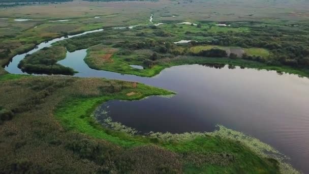 Vista Superior Del Humedal Vista Aérea Las Vías Fluviales Lagunas — Vídeo de stock