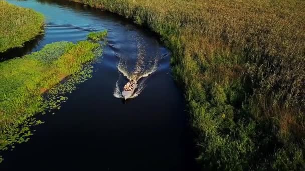 小さな川のモーターボートの人々の航空写真 プリピャットデルタの水路を下る観光船の航空写真 川でモーターボートの上を飛ぶ — ストック動画