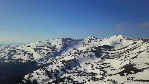 Vue Aérienne Des Montagnes Hiver Paysage Hiver Vue Aérienne Des — Video