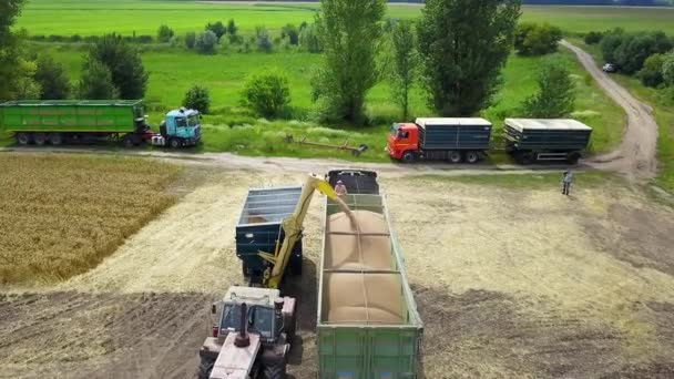 小麦畑の農業機械の空中写真 田舎の農業機械を持つ農業シーン 黄金の小麦畑の上空を飛ぶ — ストック動画