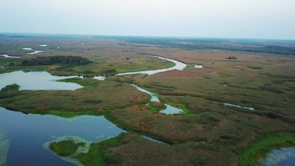 vue du dessus de la zone humide, vue aérienne élevée des cours d'eau et des lagunes, dérive vers l'arrière dans les marécages 