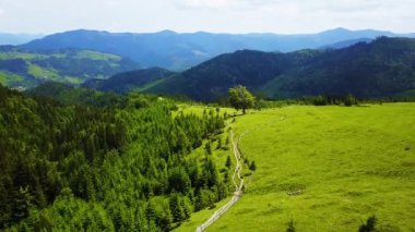 Dağ manzara havadan görünümü, Karpatlar yol ile yeşil çayır üzerinde Drone hava uçuş, Karpatlar sırtın üst kısmında yol