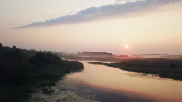 Aerial View Fog Marsh Dawn Morning Mist River Flight Morning — Stock Video