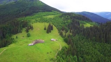 Dağlarda peynir Creamery havadan görünümü, dağlarda mera yalnız ev, Carpathians içinde otlama inekler ile yeşil çayır üzerinde drone havadan uçuş