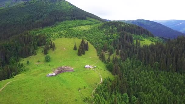 Légi Felvétel Sajt Tejcsarnok Hegyekben Magányos Ház Legelőn Hegyekben Drone — Stock videók