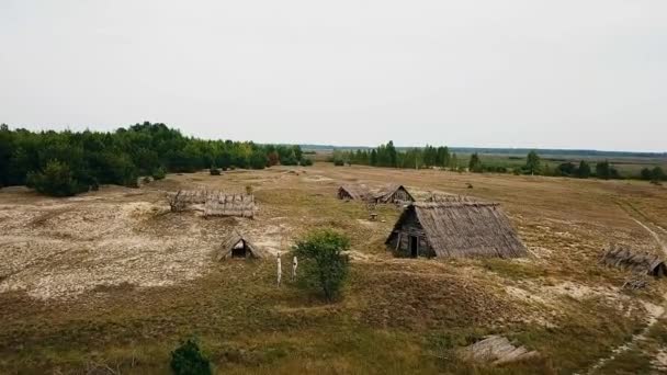 Widok Lotu Ptaka Starych Drewnianych Struktur Pokryte Słomy Widok Góry — Wideo stockowe