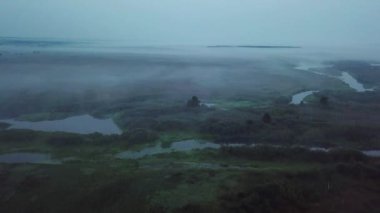 göller üzerinde şafak öncesi sis havadan görünümü, göl hava üzerinde şafaktan önce sis, sabah sis Orman gölü, göl üzerinde sabah sis havadan görünümü