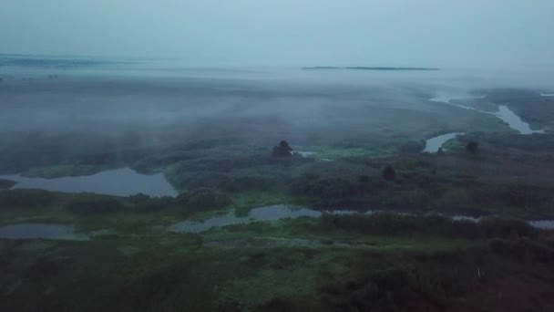 Luftaufnahme Des Morgennebels Über Seen Nebel Vor Sonnenaufgang Auf Der — Stockvideo