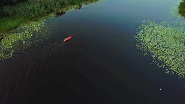 湖の赤いカヤックの航空写真 観光船の航空写真 川で赤いカヤックの上を飛ぶ カヌーで旅行する人のトップビュー — ストック動画
