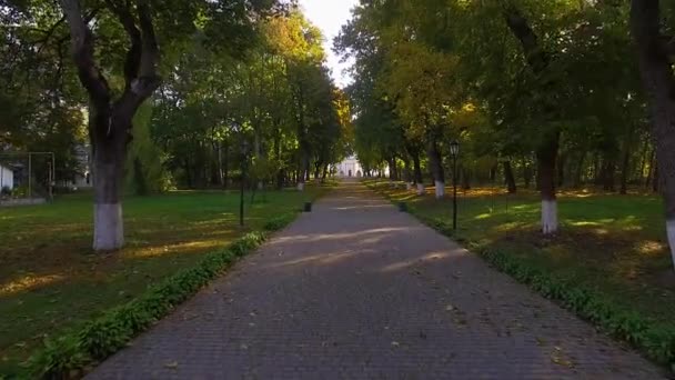 朝の秋の路地の上の飛行 夜明けの秋の大通りに飛ぶ 朝の秋の公園の路地 教会への路地を通って 秋の公園を飛ぶ — ストック動画
