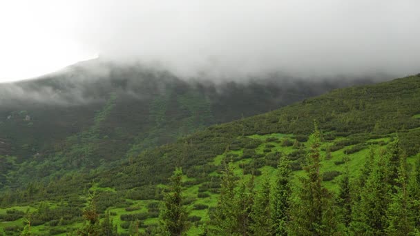 Mist Zomer Bergen Berglandschap Met Bomen Mist Wolken Timelapse Time — Stockvideo