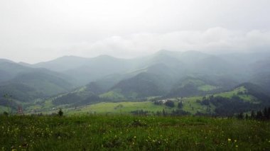 dağda sis, gün batımında yaz aylarında dağlarda köy, ormanlar ve tarlalar ile güneşli yaz dağları, Karpat Dağları gündoğumu yumuşak ışık orman ile dağ köyü, Ukrayna, dağlar manzara Majestic günbatımı
