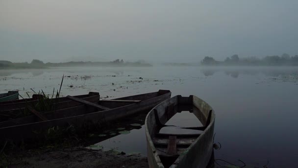 Старі Човни Ранковому Тумані Туман Перед Світанком Озері Повітря Старі — стокове відео
