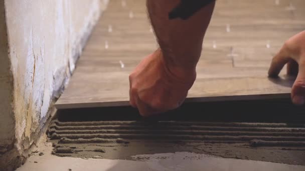 Laying Tile Floor Ceramic Tile Laying Pressing Regulating Installing Plastic — Stock Video