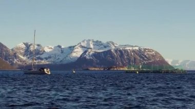 Norveç'te somon çiftliği ve yat, Norveç'te Çiftlik somon balıkçılığı, Norveç Denizi'nde somon çiftliği ağı, Norveç lofoten adalarında balıkçı köyü