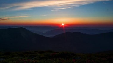 Dağlar zaman atlamalı gündoğumu, dağlarda güneşin doğuşunun arka planına karşı çiçeklenme orman gülleri, dağın tepesine gündoğumu, karpatians zaman atışında gündoğumu, dağlar zaman atlama güneşin doğuşunda Rhododendron çiçekler,