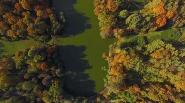 Park, Sonbahar Doğa Hava manzara, uçak üzerinde gölet ve göllerde güzel park, Sonbahar Doğa Hava manzara uçuş göl ve orman parlak renkli sonbahar göl üzerinde uçuş