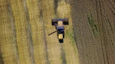 chamfered buğday tarlasının havadan görünümü, Buğday Avrupa alanları, tarlada buğday hasat havadan görünümü, Doğrudan yukarıda Uçan Tarım sahnenin Üst görünümü birleştirmek