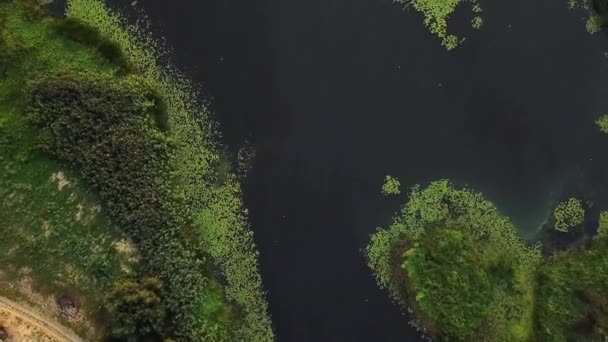 湿地的顶视图 水道和泻湖的高鸟瞰图 通过沼泽的空中向后漂移 — 图库视频影像