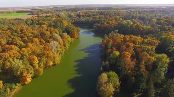 秋湖公園 秋の自然の空中風景 池や湖のある美しい公園以上のフライト 湖と色鮮やかな森に秋自然空中風景フライト便します — ストック動画