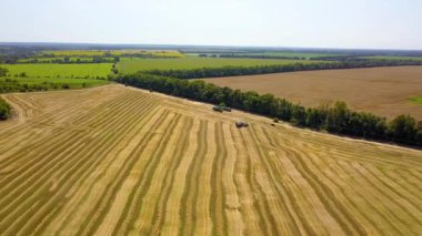 chamfered buğday tarlasının havadan görünümü, Buğday Avrupa alanları, tarlada buğday hasat havadan görünümü, Doğrudan yukarıda Uçan Tarım sahnenin Üst görünümü birleştirmek, 