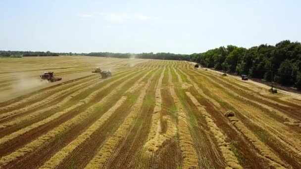 Vue Dessus Moissonneuse Batteuse Sur Champ Blé Chanfreiné Vue Aérienne — Video