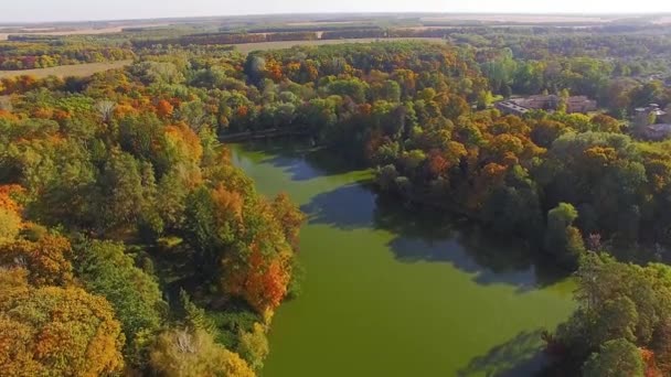 Vuelo Sobre Lago Otoño Parque Paisaje Aéreo Naturaleza Otoño Vuelo — Vídeos de Stock