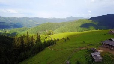 Dağlarda peynir Creamery havadan görünümü, dağlarda mera yalnız ev, Carpathians içinde otlama inekler ile yeşil çayır üzerinde drone havadan uçuş