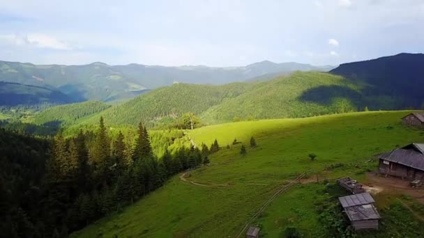 山の中でクリーマリーチーズの空中ビュー 山の牧草地で孤独な家 カルパティア山脈で放牧牛と緑の草原の上にドローン空中飛行 — ストック動画