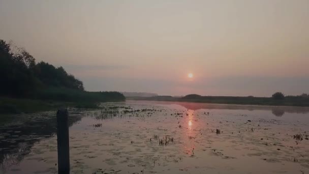 日の出の湖の空中写真 川の上の霧と太陽 夜明けの湿地の上の霧の空中ビュー — ストック動画