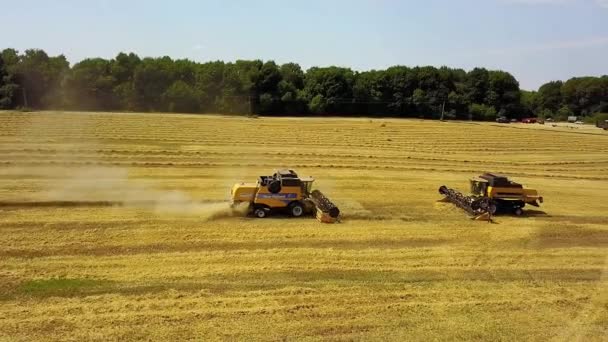 面取り小麦畑の航空写真 ヨーロッパの小麦畑 畑での小麦の収穫の航空写真 真上を飛ぶ農業シーンのトップビューを組み合わせる — ストック動画