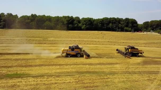 Vista Aerea Del Campo Grano Smussato Campi Europei Grano Veduta — Video Stock