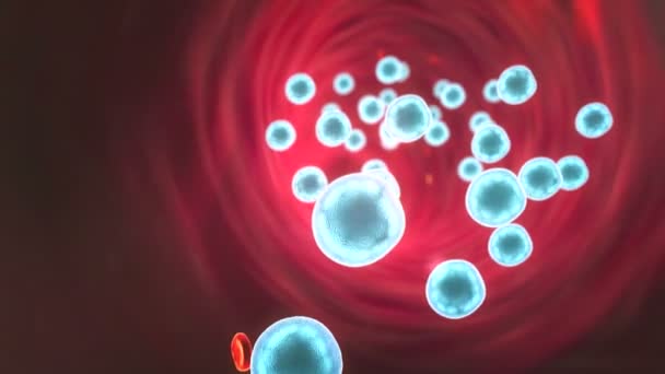 바이러스는 백혈구 스트리밍 아래로 세포의 고품질 렌더링 동맥에 적혈구를 — 비디오
