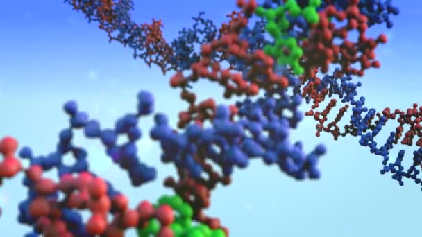 Dna Close Dna Molecule Model Dna Strengen Dna Animatie — Stockvideo