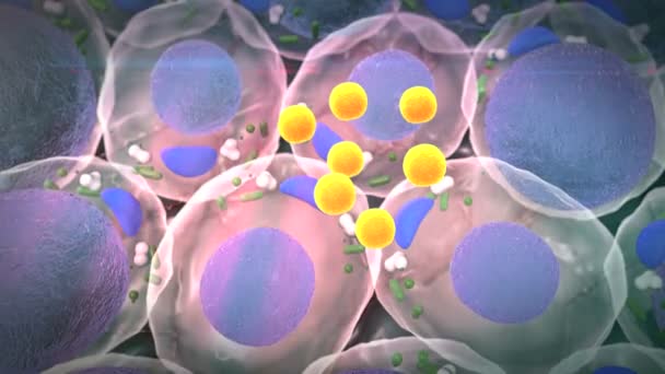 Παχύ Κύτταρο Και Μακροφάγων Πεδίο Των Λιποκυττάρων Υψηλής Ποιότητας Καθιστούν — Αρχείο Βίντεο