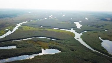 Pripyat River FLOODPLAIN havadan görünümü, nehir sarma havadan görünümü, sulak alanların havadan görünümü, bataklık havadan görünümü