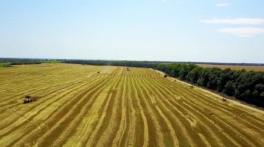 Chamfered buğday alanında birleştirmek hasat üst görünümü, birleştirilmiş hasat makinesi havadan görüntüleri, modern bir araya toplama buğday ı sayılsa, 