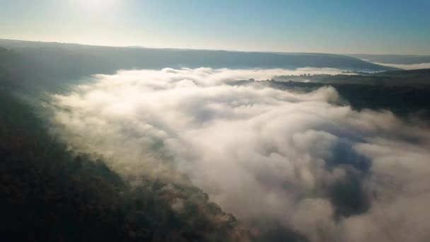 Vista Aérea Névoa Sobre Rio Nascer Sol Nevoeiro Espesso Sobre — Vídeo de Stock